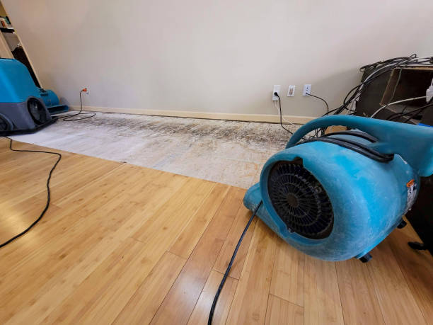 Reliable Flood Damage Restoration contractor in Lowell, MI by Hirex Water Damage